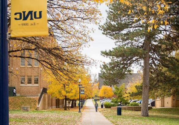 A sidewalk on a college campus with trees on both sides that have golden leaves.